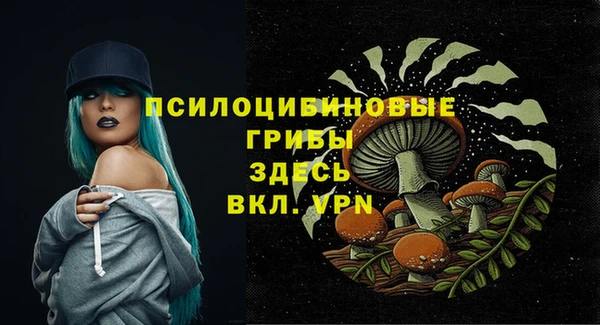 стаф Нязепетровск