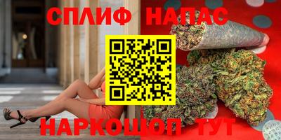 гашик Кунгур