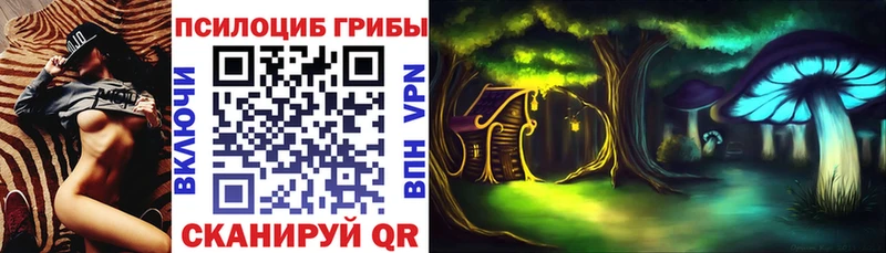 Галлюциногенные грибы MAGIC MUSHROOMS купить цена Рассказово